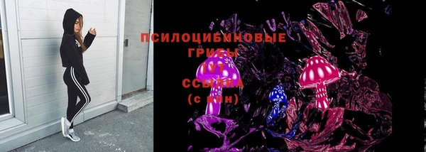 стафф Абинск