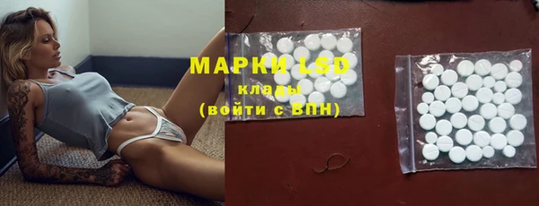 стафф Абинск