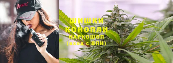 гидра Наволоки