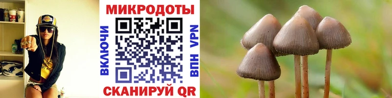 Галлюциногенные грибы GOLDEN TEACHER  Нальчик 