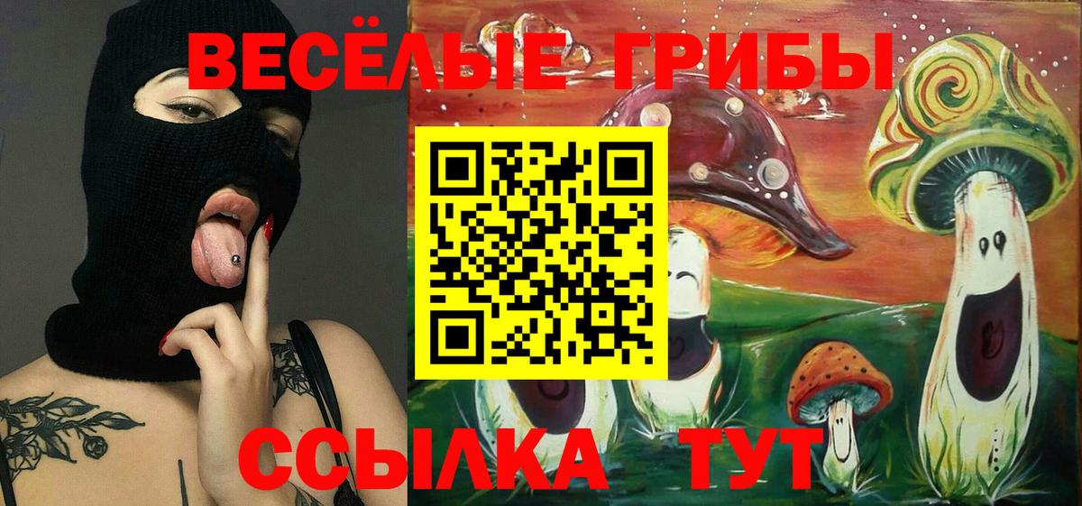 Галлюциногенные грибы прущие грибы  Вход с VPN  Нальчик 